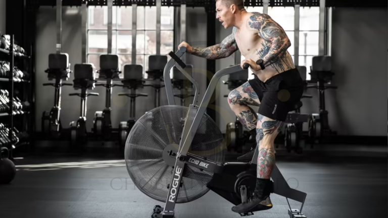 Rogue Echo Bike workout